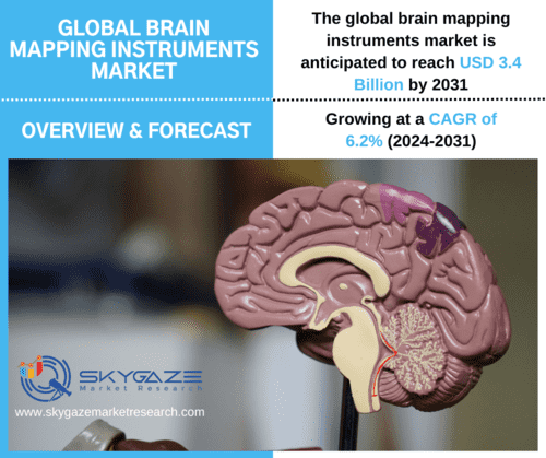 market details about the global barin mapping instruments with an image of model of brain