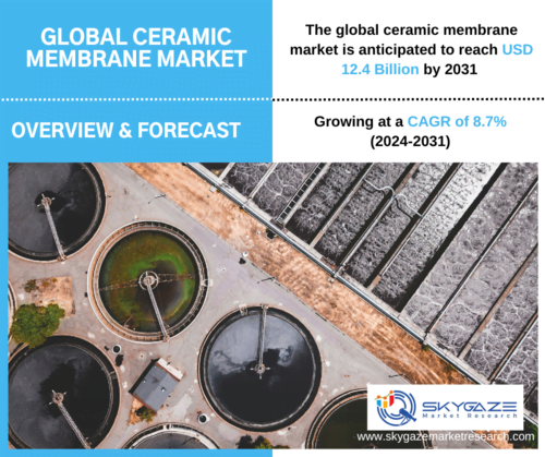 market details about global ceramic membrane market with an image of ceramic membrane in water filtration facility.