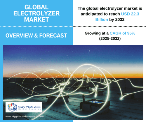 market details about the global electrolyzer market 