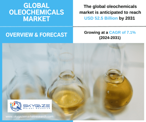 market details about the global oleochemicals market along with image of oleochemicals in jars.