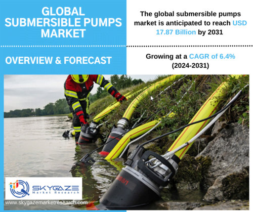 market details about global submersible pumps market with an image of submersible pump at work.